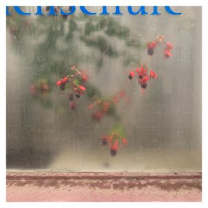 Window view